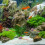 Safe And Practical Fish Tank Spawning Mops For Aquariums 5