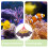 Safe And Practical Fish Tank Spawning Mops For Aquariums 8
