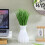 12Pcs Simulation Grass Plastic Models for Home Decor Photography Props 4