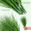 12Pcs Simulation Grass Plastic Models for Home Decor Photography Props 9