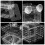 Pet Brooding Incubator Fish Tank Isolation Box Aquarium Breeding 5