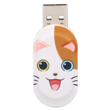 Plug and Use for Effortless Data Management, Portable Cute flash drive Waterproof and Safety Dual USB Interface Flash Drive for Reliable Storage