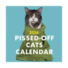 2026 Wall Calendar: Jan-Dec Kittens in Cute Animal Style Large Format for Effortless Planning & Daily Reminders