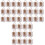 72St Handzame Witte Cupcake Verpakkingdozen Met En 2
