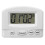 Cycle Timer With Extended Timing For Enhanced Task Management 1