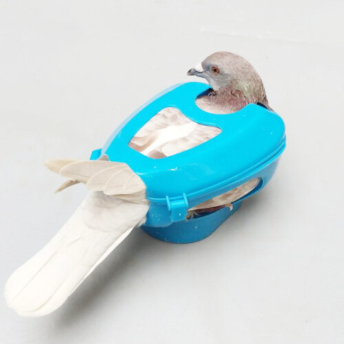 Bird Supply: Injection Feeding Pigeon Holder Blue Plastic Fixed Mount