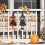 Halloween Hanging Decorations, Multicolour Cloth, 4Pack 2