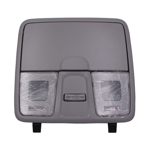 Hyundai Elantra Interior Dome Light Assembly 92800-4V000TX