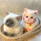 Plüschkatze – superweiches Stressabbau-Geschenk für Sinne 5