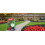 Johnsons Lawn Quick Lawn with Accelerator (1.25KG), Green,Red 2