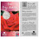 Ruby Wedding Gift Rose - 40th Wedding Anniversary Plant - Gift Wrapped with Our Huge Gift Bow 3
