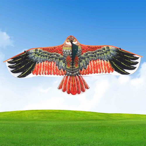 Χαρταετός Eagle 43,3" για παιδιά και ενήλικες, λαβή με σχοινί 98 ποδιών, χαρταετός με 2