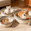 Cat Instinct Basket Hand-Woven Cotton Rope Bed with 5
