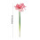 Τεχνητό λουλούδι Clivia Amaryllis 1 τεμάχιο Ψεύτικα ρεαλιστικά άνθη ύψους 25,19 ίντσες 2