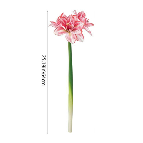 Τεχνητό λουλούδι Clivia Amaryllis 1 τεμάχιο Ψεύτικα ρεαλιστικά άνθη ύψους 25,19 ίντσες 1