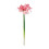 Τεχνητό λουλούδι Clivia Amaryllis 1 τεμάχιο Ψεύτικα ρεαλιστικά άνθη ύψους 25,19 ίντσες 6