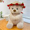 Valentine's Day Rose Bear Plush Toy for Couples 4
