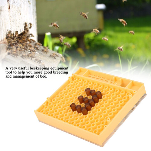 Beehive Queen Breeding Equipment, Easy To Use Bee Cage Holder Accessory, Durable Apiculture Tools For Solid And Reliable Performance 2