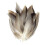 Feathers for DIY Crafts 50 Pieces 3