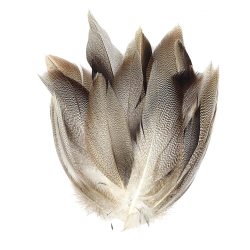 Feathers for DIY Crafts 50 Pieces 2