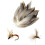 Feathers for DIY Crafts 50 Pieces 6