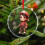 Cartoon Firefighter Boy Glass Ornament 2025 4