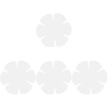 4Pcs DIY Patchwork Ruler Sewing Template White Bowl Wrap Tools