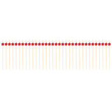 300Pcs Cocktail Skewers Fruit Picks for Events