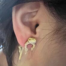Halloween Christmas Hip Hop Lizard Earring Party Funny Earrings Personality Sweet Cool Style Earrings Style Earrings Artificial flowers
