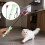 Katzen-Spielstab, USB-C-aufladbar, 1 Stück 7