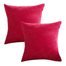 Lot de 2 housses de coussin Spring 24x24 pouces (61x61 cm) en velours côtelé doux à rayures, idéales pour canapé, salon ou voiture.