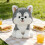 Peluche de husky siberiano – Suave y cómodo. 1