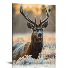 Leinwandbild mit Hirschmotiv im Morgengrauen, Naturfotografie, Wildnis, realistisch, rustikal, malerisch, entspannend/ruhig, mehrfarbig, 30 x 40 cm