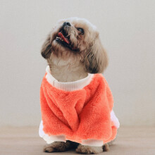 Vêtements pour chien Pretyzoom avec pieds en polaire corail, design chic, idéal pour les anniversaires (1 paquet)