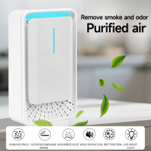 Negative Ion Air Cleaner HEPA-Style BPA-Free 1 Unit