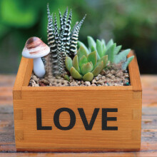 2Pcs Wooden Flower Pot Organiser