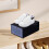 Clear Stackable Shoe Storage Box, 12x8x5", Transparent Foldable Clamshell Organizer with Front Opening (Black) 5