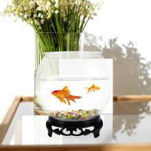 HOMEMAXS Transparent Plastic Fish Tank with Base for Desktop Use High Visibility Decoration