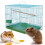 Wire Rectangular Small Cage for Small Birds and Canaries Rekord Equipped Feeders Iron Wire 5