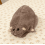 Giant Rat Plush Toy Soft Fabric with Tail 13.78 Inch 7
