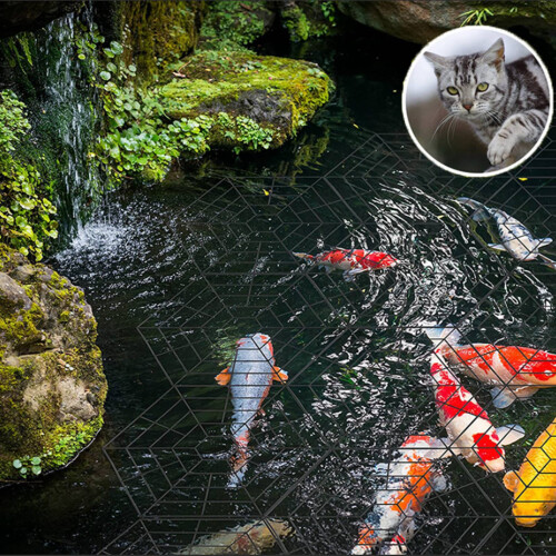 Custom-Size Floating Fish Guard Net
