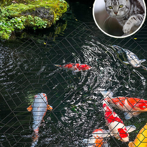 Lightweight Pond Netting with Clamps