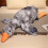 Goose Plush Hugging Pillow Round Gray 50 cm 3