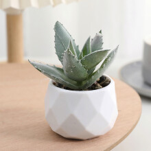 Vegetazione artificiale in vaso, decorazione con verde finto per casa, ufficio, scrivania, arredamento moderno in stile rustico, decorazione con