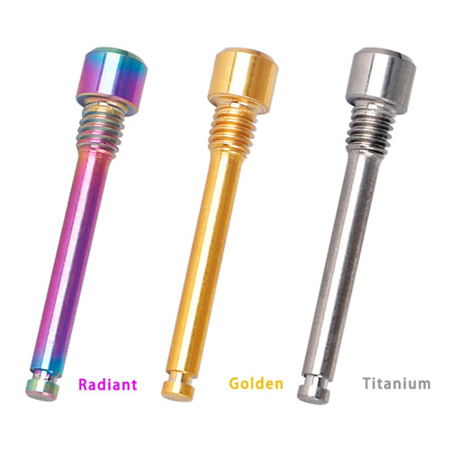 M4 Titanium Bolts for Bicycle Disc Brake Pad Threaded Pin Inserts Screw for XT R XT Hydraulic Disk Caliper-Titanium 1