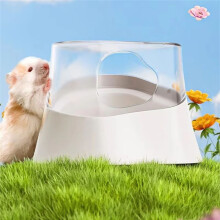 Hamster Zandbad Container Critter'S Zandbad Doucheruimte Gemakkelijk Schoon Te Maken Deksel Kleine Dieren Badkamer & Graafkamer