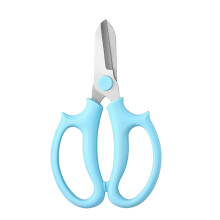 Stainless Steel Floral Scissors with Ergonomic Non-Slip Handle – Colorful Pruning Shears for Flower Arranging & Home Gardening
