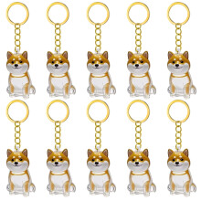 2/3/4/5/10Pcs Pet Memorial Keychain With Clear Furs Collector Perfect Gift For Grieving Cats Dog Owners Keepsakes Charm