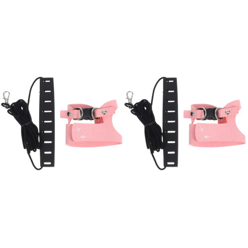 2Sets Flexible Pink Small Pet Leash and Adjustable Harness Set