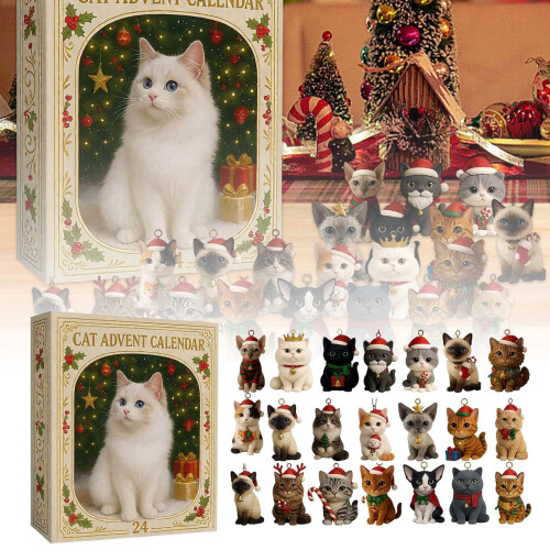 Ημερολόγιο Advent με αντίστροφη μέτρηση και έκπληξη για παιδιά και οικογένειες, Wicked